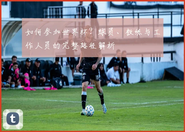 如何参加世界杯?球员、教练与工作人员的完整路径解析