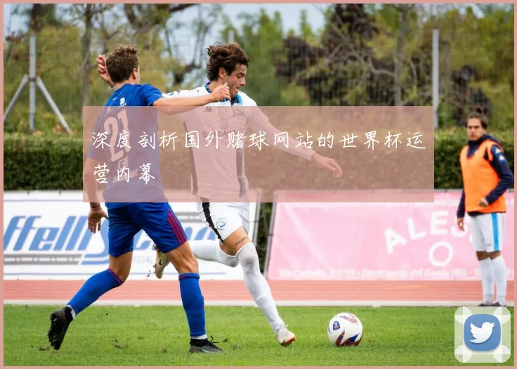 深度剖析国外赌球网站的世界杯运营内幕