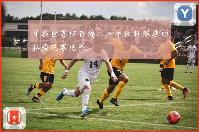 寻找世界杯直播？一个铁杆球迷的私藏观赛地图
