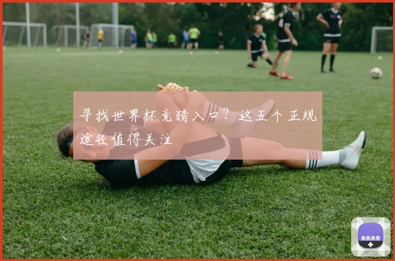 寻找世界杯竞猜入口？这五个正规途径值得关注