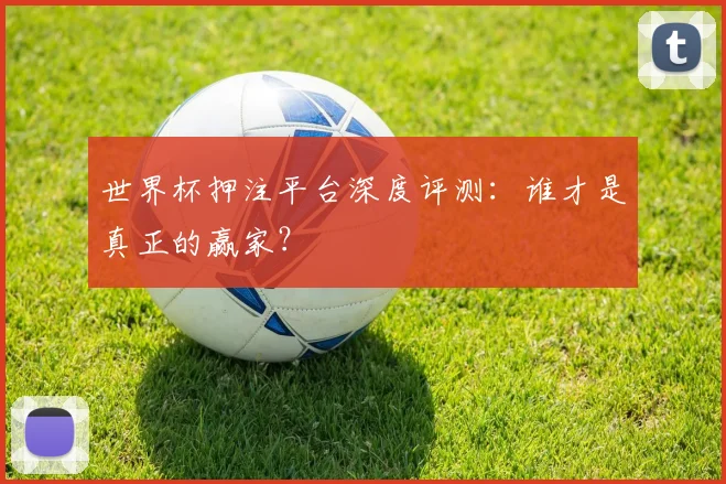 世界杯押注平台深度评测：谁才是真正的赢家？