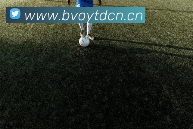 星空官方体育入口平台生态图