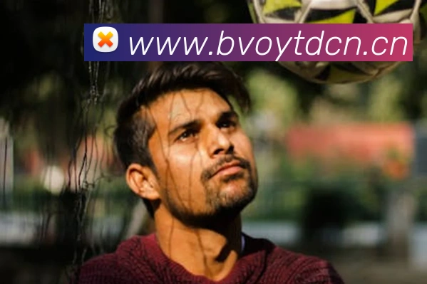 星空官方体育入口APP 封面图